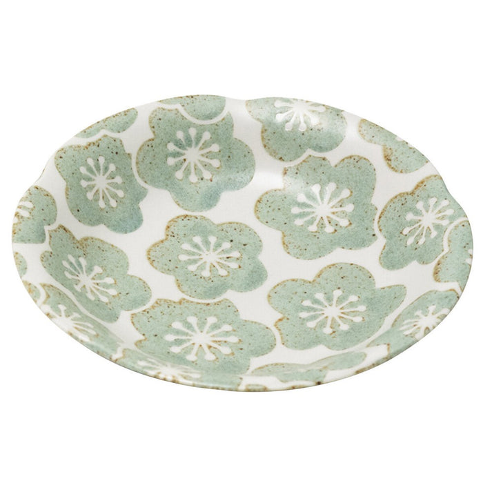 Tsukinose Blossom sage - Deep Plate