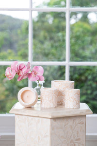 Natural Light - Ivory Damask