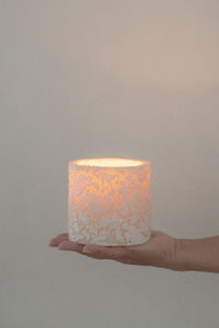 Natural Light - Ivory Damask