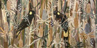 Autumn Black Cockatoos