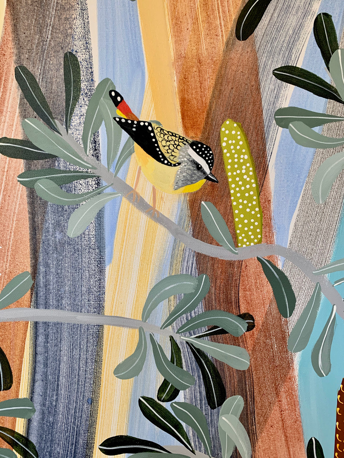 Pardalotes in the Banksia #3