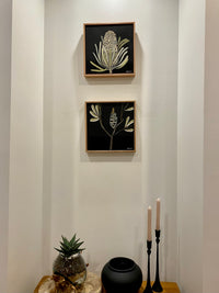 Banksia #4
