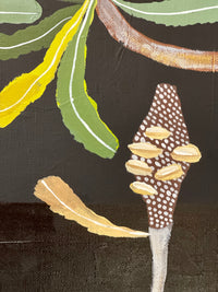 Banksia and Pods