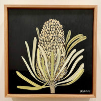 Banksia #4
