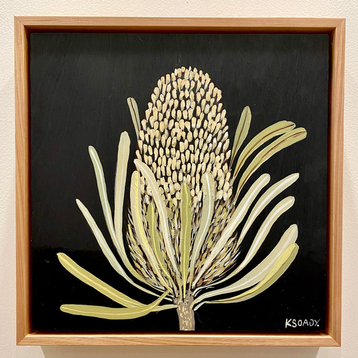 Banksia #4