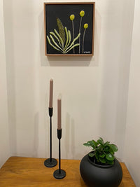 Billy Buttons & Banksia #6
