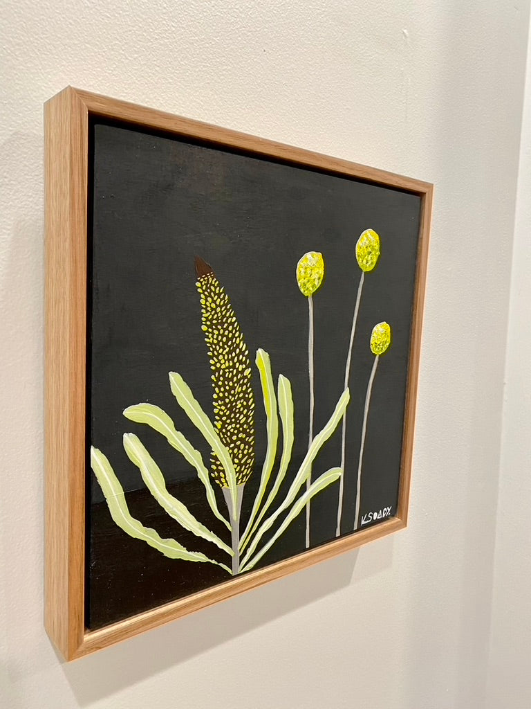 Billy Buttons & Banksia #6