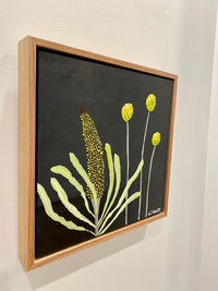 Billy Buttons & Banksia #6