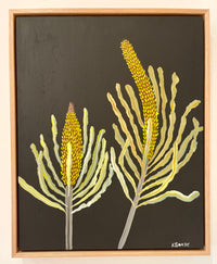 Banksias #6