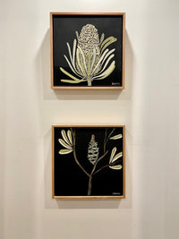 Banksia #4