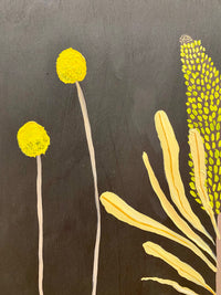 Banksia and Billy Buttons