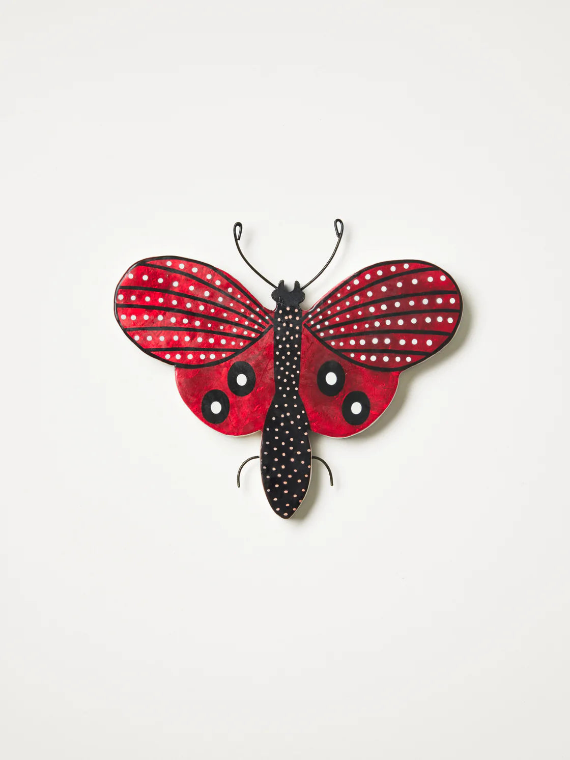 Moth Rasberry
