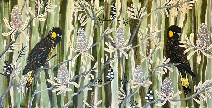 Black Cockatoos