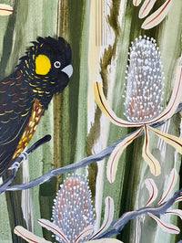 Black Cockatoos