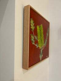 Banksia #15