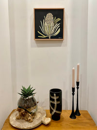 Banksia #4
