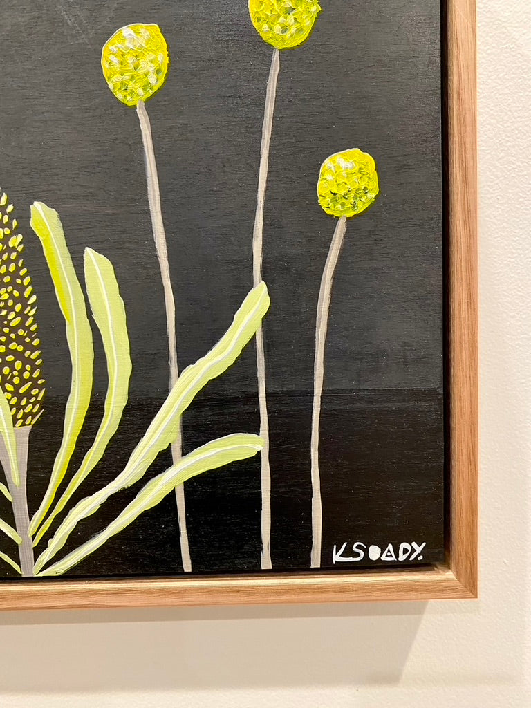 Billy Buttons & Banksia #6