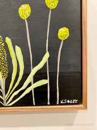 Billy Buttons & Banksia #6
