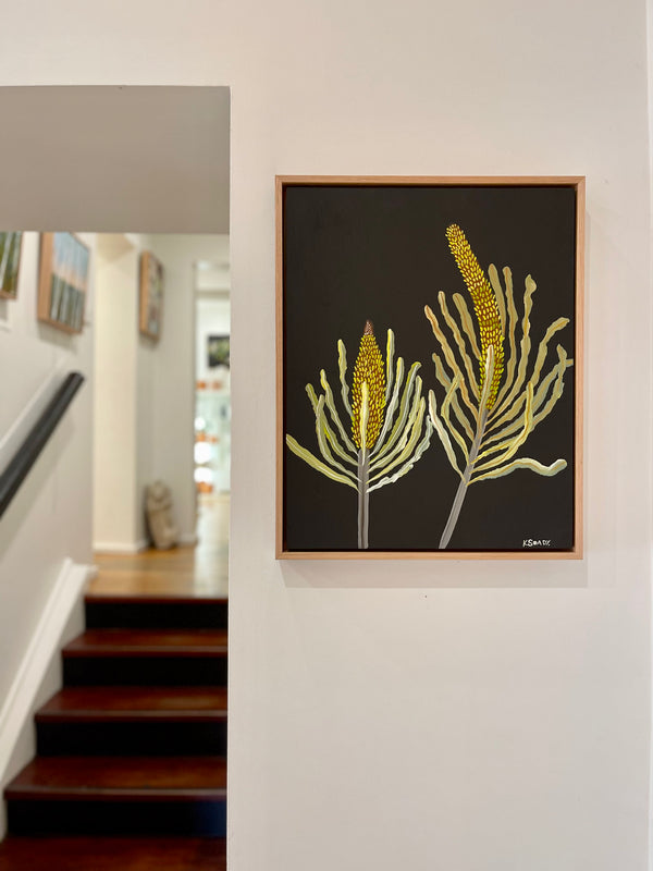 Banksias #6