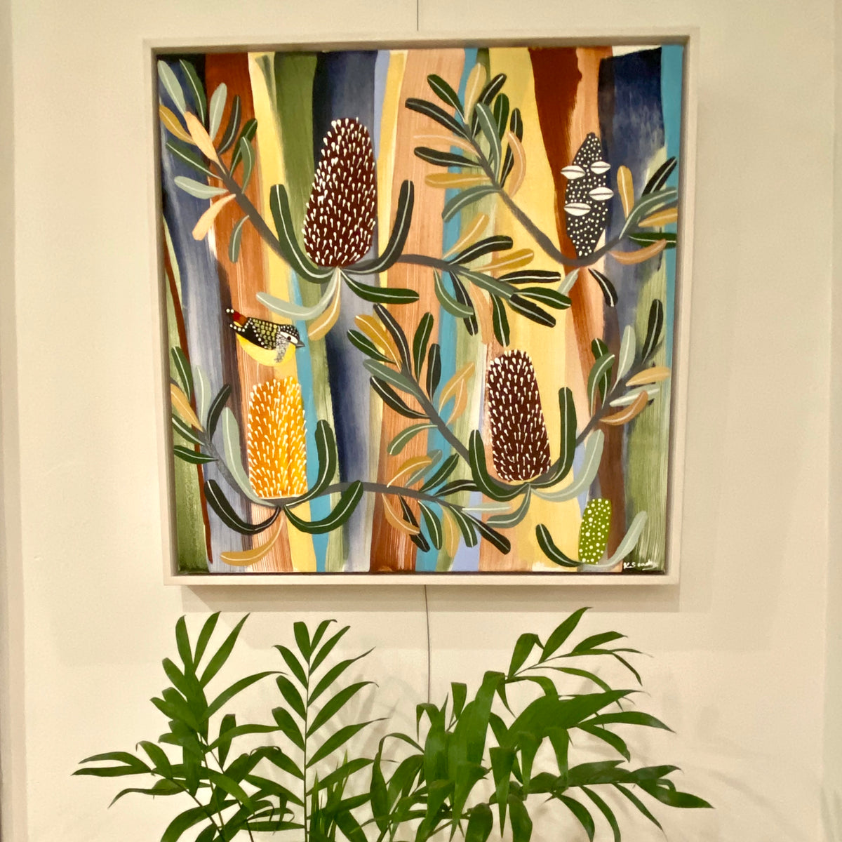 Pardalote Springtime