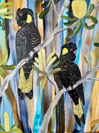 Mountains Black Cockatoos