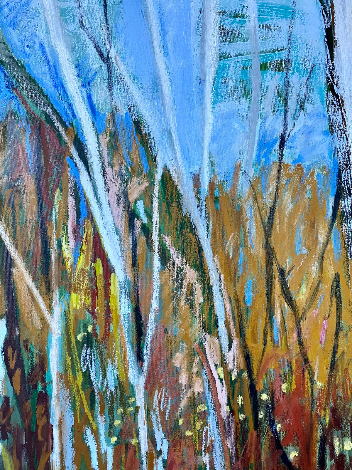 Winter Walk #1