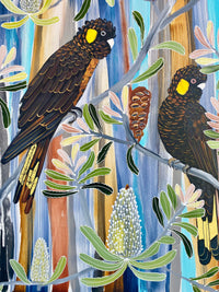 Yellow Tailed Black Cockatoos #2