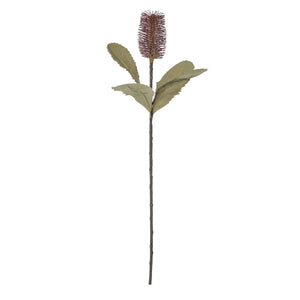 Banksia Stem Mauve
