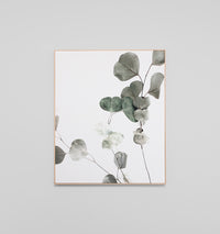 Eucalyptus Branch Canvas