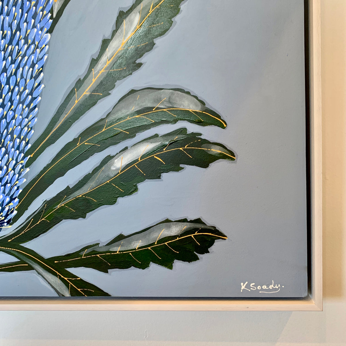 Hinchinbrook Blue  Banksia