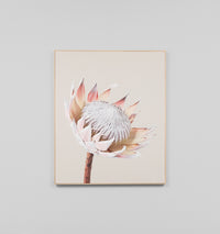 King Protea Portrait