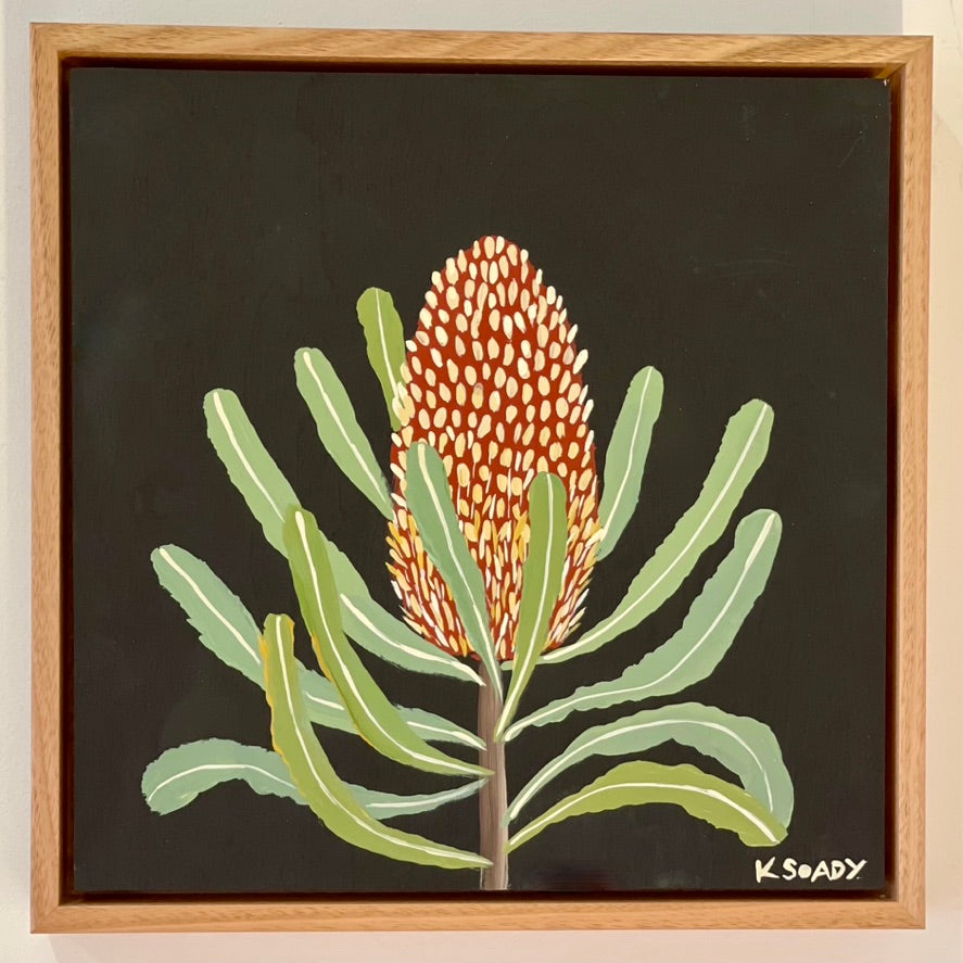 Banksia #12