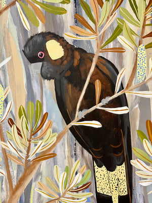 Black Cockatoos in Autumn
