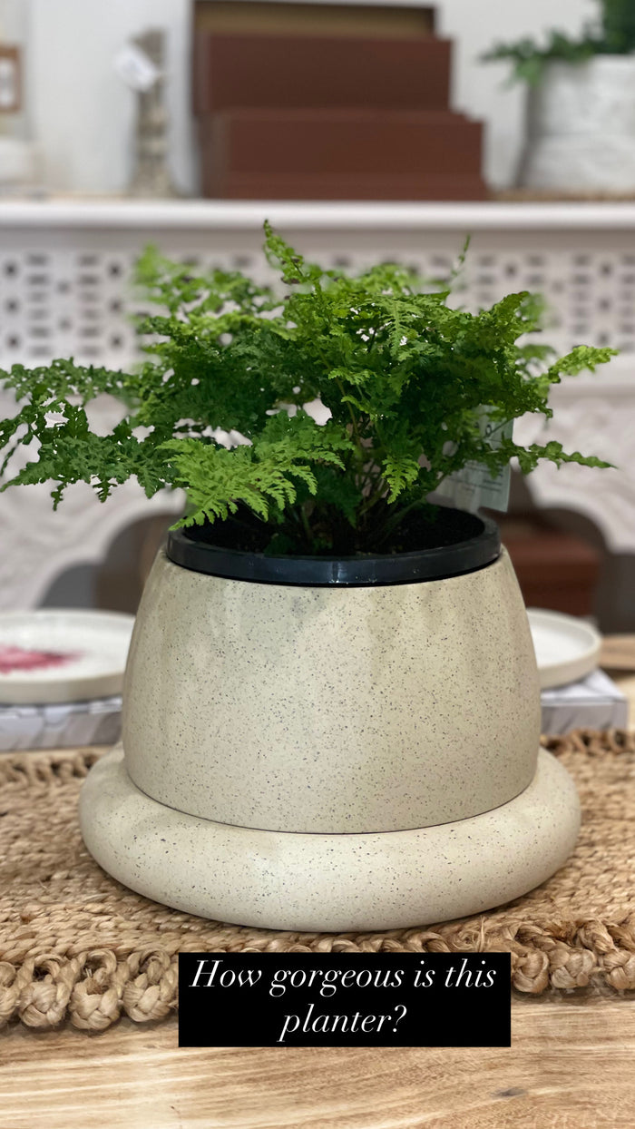 WHITE SPECKLE - CLOUD PLANTER