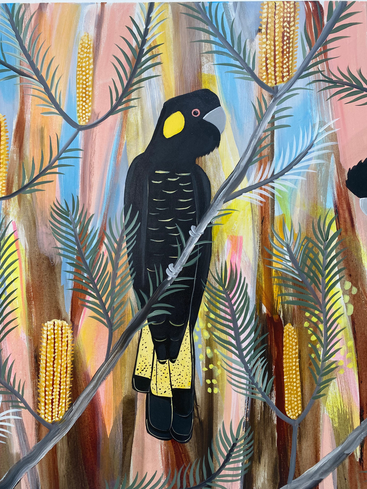 Spring Black Cockatoos #6