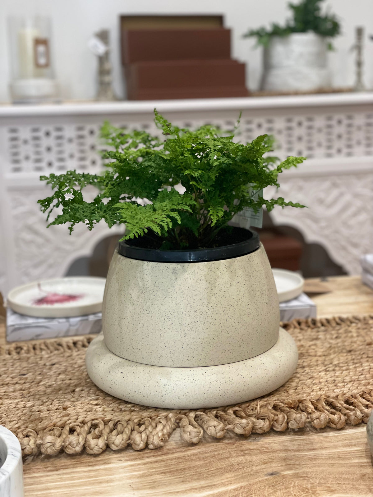 WHITE SPECKLE - CLOUD PLANTER