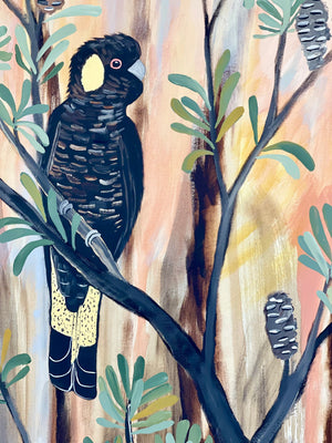 Late Afternoon Black Cockatoo