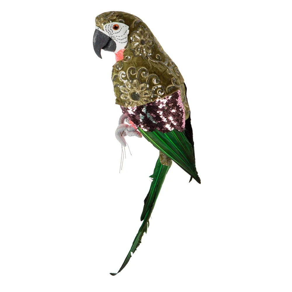 King Parrot Decoration