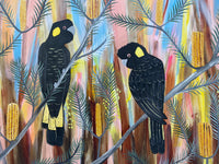 Spring Black Cockatoos #6