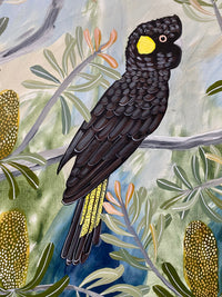 Autumn Black Cockatoos #4