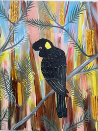 Spring Black Cockatoos #6