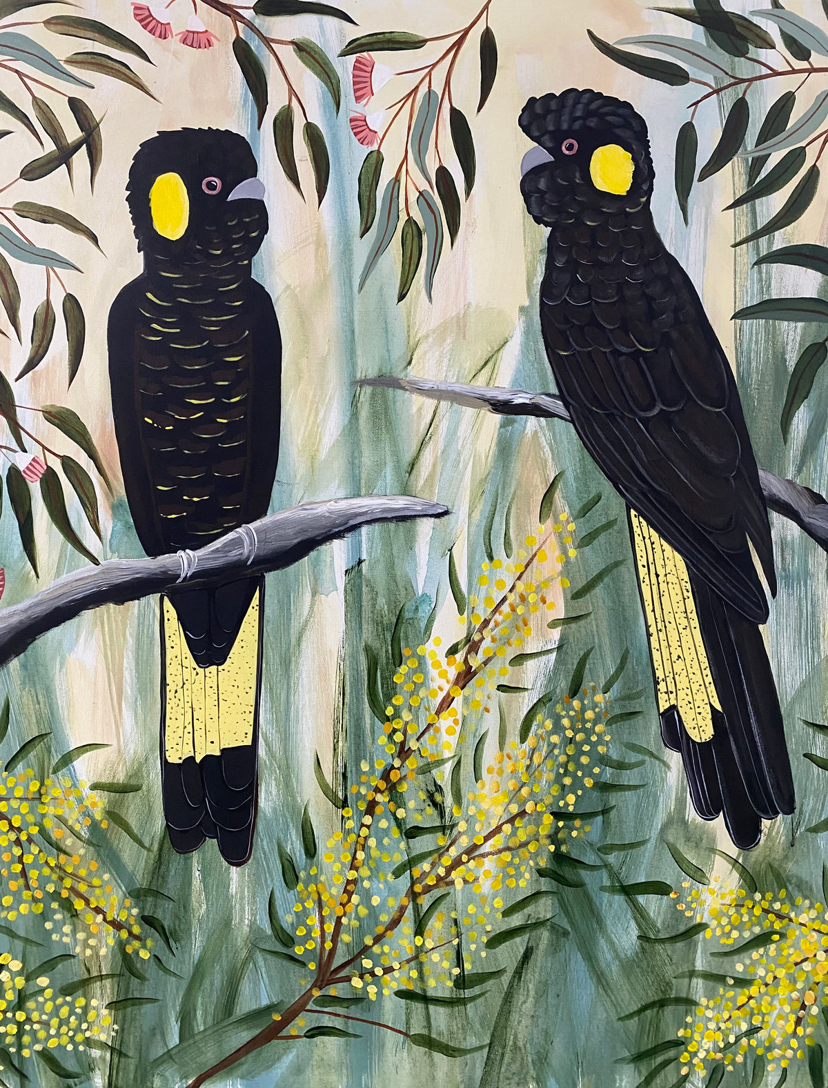 Black Cockatoos in the Natives #2