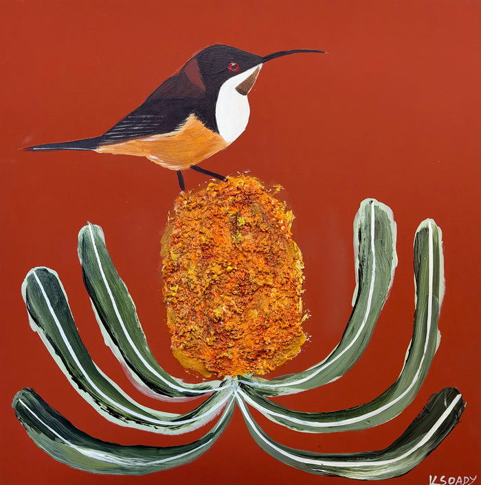 Spinebill & Banksia #1