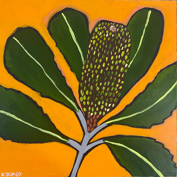 Banksia Pop