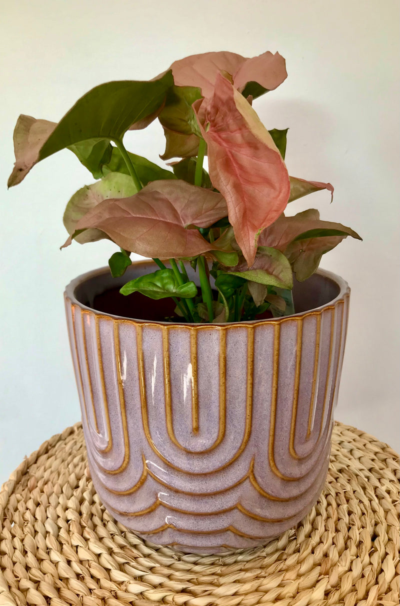 Hippy Planter - Mimi