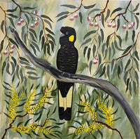 Black Cockatoos in the Natives #1