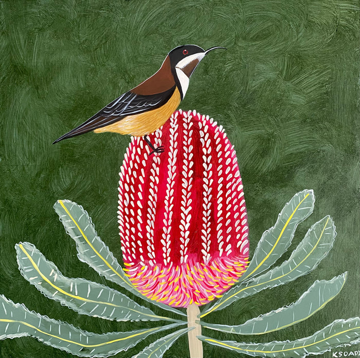 Honeyeater and Banksia