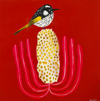 Honeyeater and Banksia