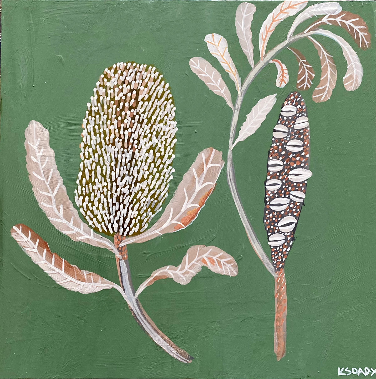 Banksia and Pod #22