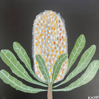 Banksia Evening #3